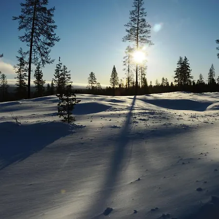 14 - Natur-, Dyre- Og Fugleopplevelser I Fulufjellets Nasjonalparker Trysil Exterior photo