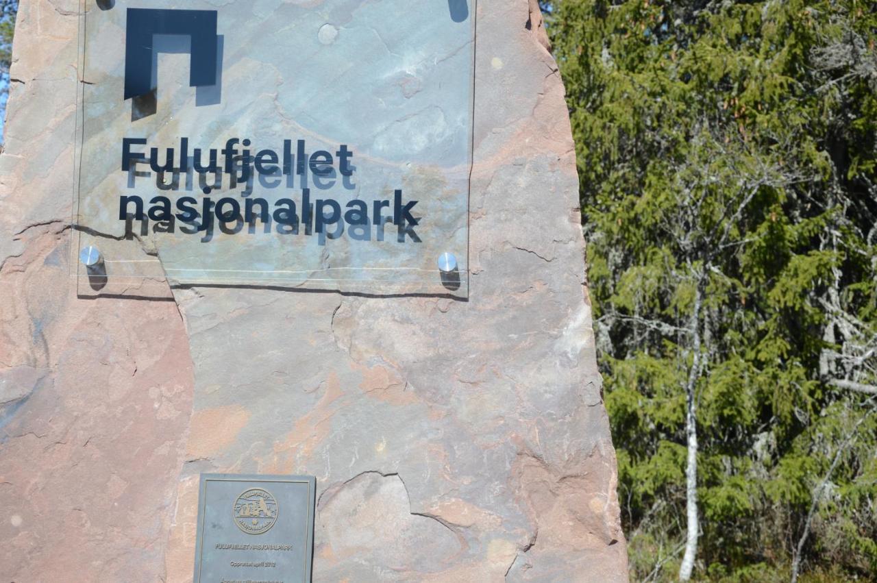14 - Natur-, Dyre- Og Fugleopplevelser I Fulufjellets Nasjonalparker Ferienhaus Trysil