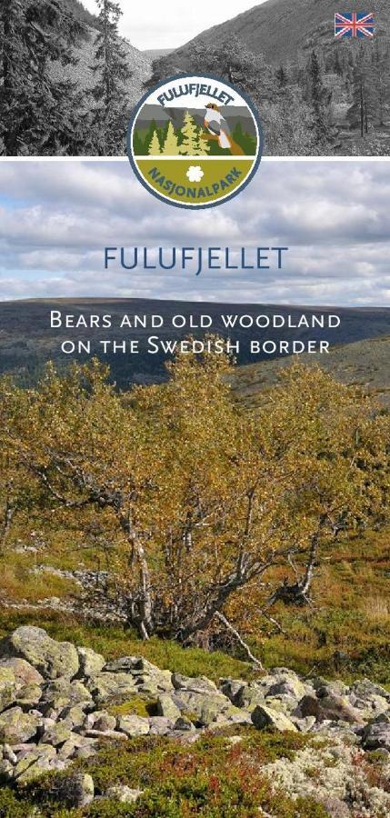 14 - Natur-, Dyre- Og Fugleopplevelser I Fulufjellets Nasjonalparker *