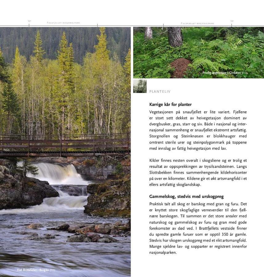 14 - Natur-, Dyre- Og Fugleopplevelser I Fulufjellets Nasjonalparker Ferienhaus Trysil