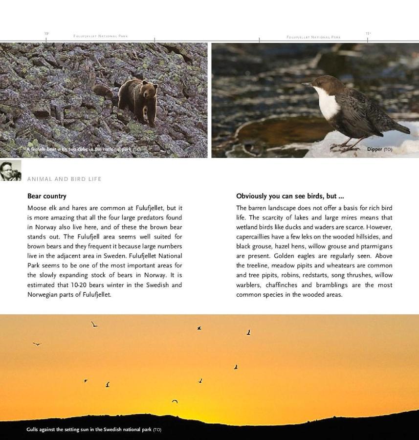 Ferienhaus 14 - Natur-, Dyre- Og Fugleopplevelser I Fulufjellets Nasjonalparker *