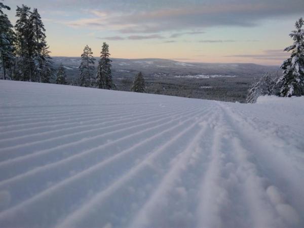 14 - Natur-, Dyre- Og Fugleopplevelser I Fulufjellets Nasjonalparker Ferienhaus Trysil