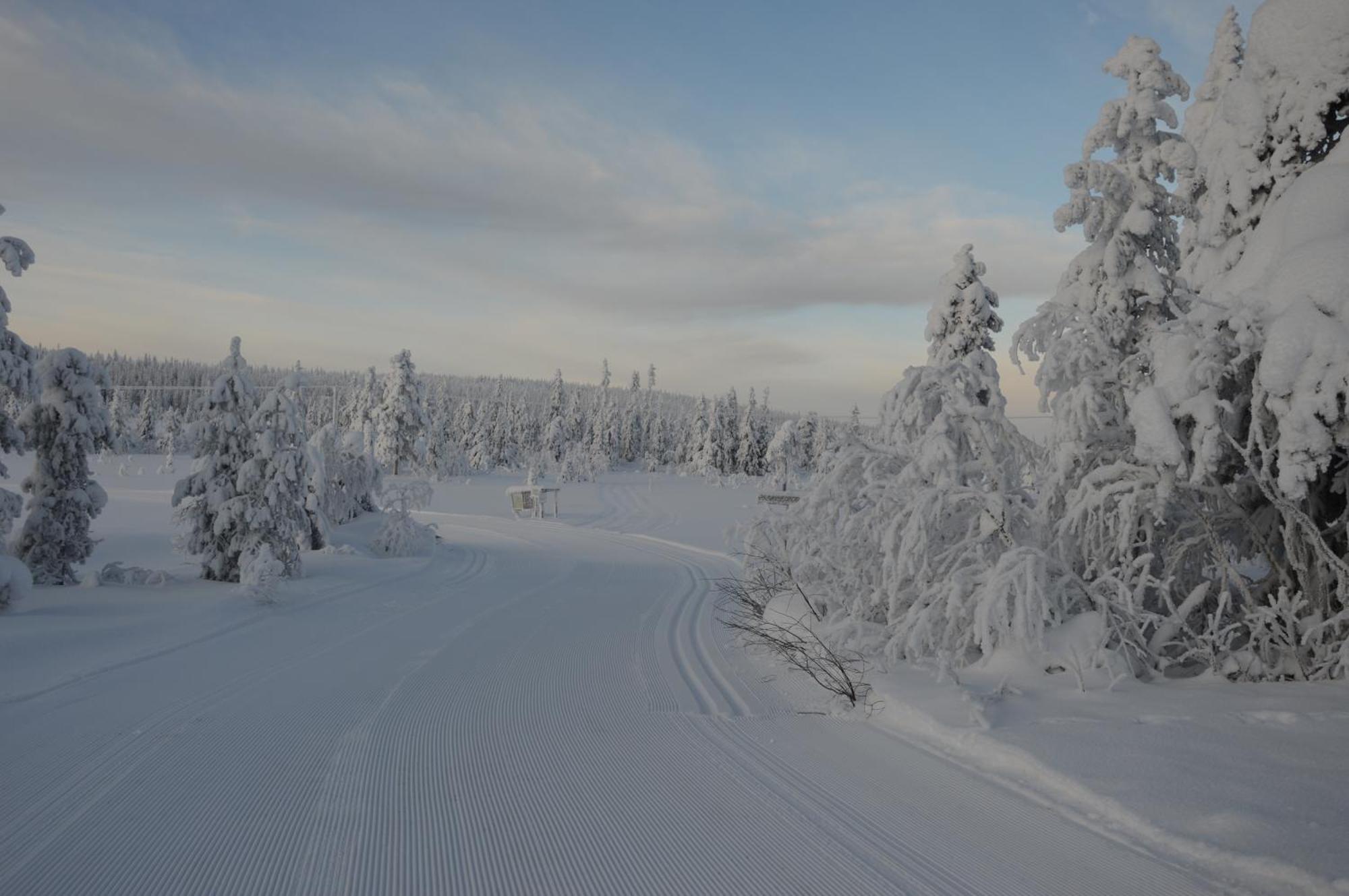 14 - Natur-, Dyre- Og Fugleopplevelser I Fulufjellets Nasjonalparker Ferienhaus Trysil