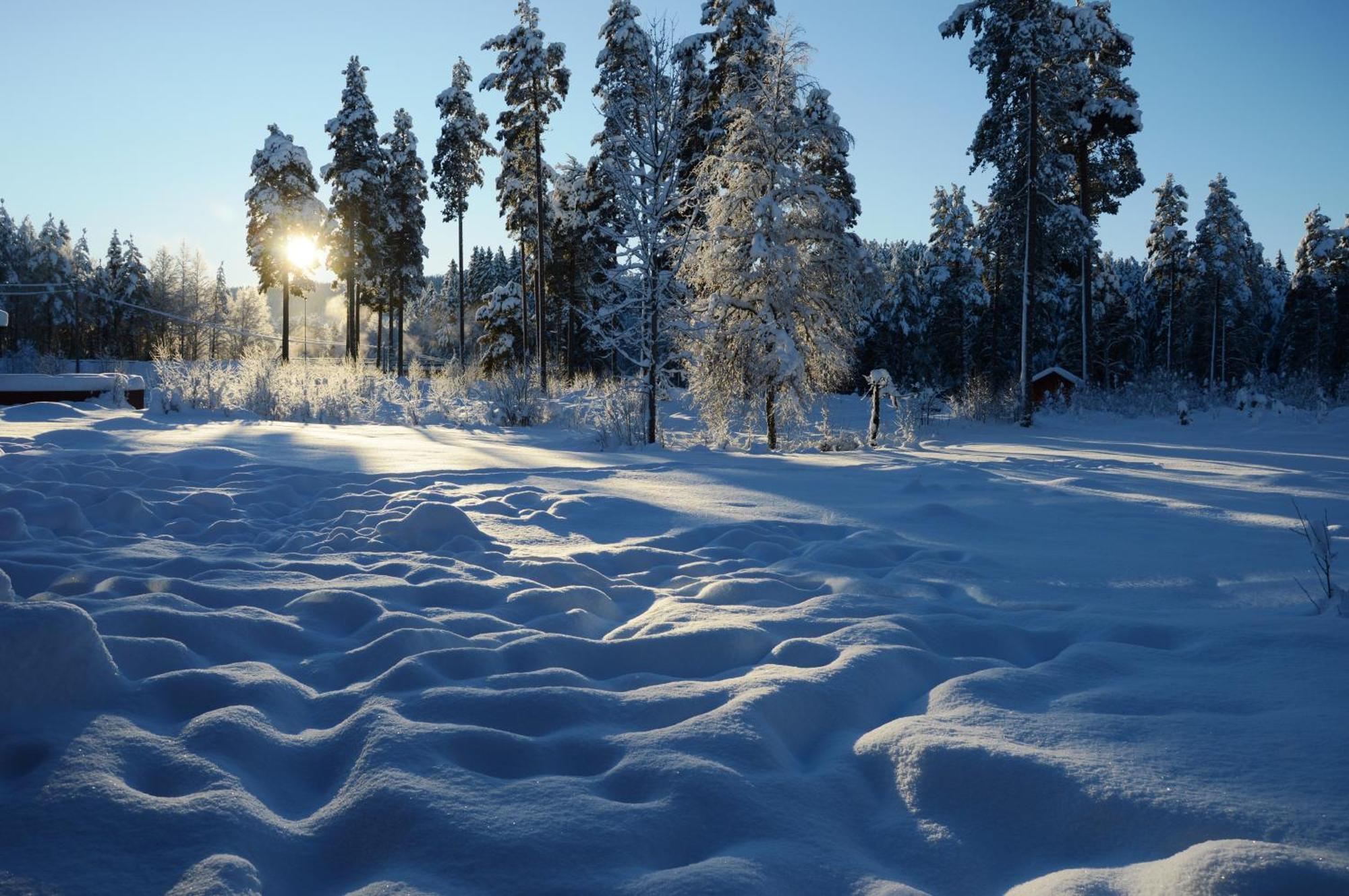 Ferienhaus 14 - Natur-, Dyre- Og Fugleopplevelser I Fulufjellets Nasjonalparker Trysil