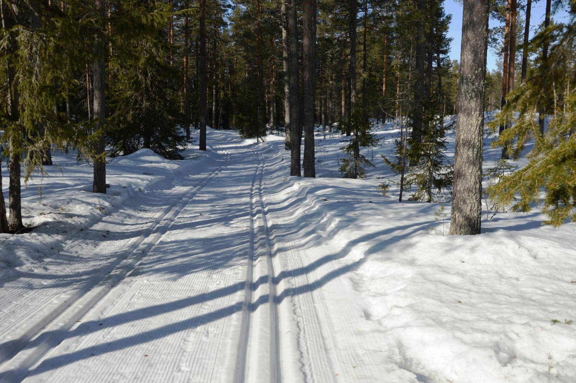 Ferienhaus 14 - Natur-, Dyre- Og Fugleopplevelser I Fulufjellets Nasjonalparker *