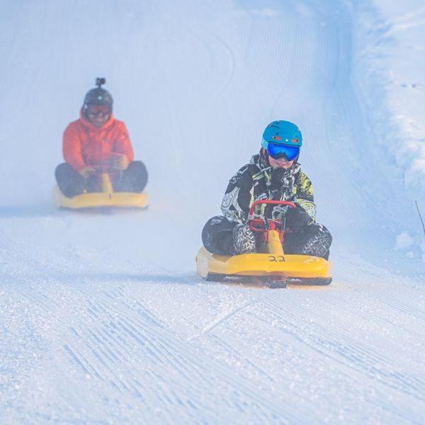 Ferienhaus 14 - Natur-, Dyre- Og Fugleopplevelser I Fulufjellets Nasjonalparker Trysil