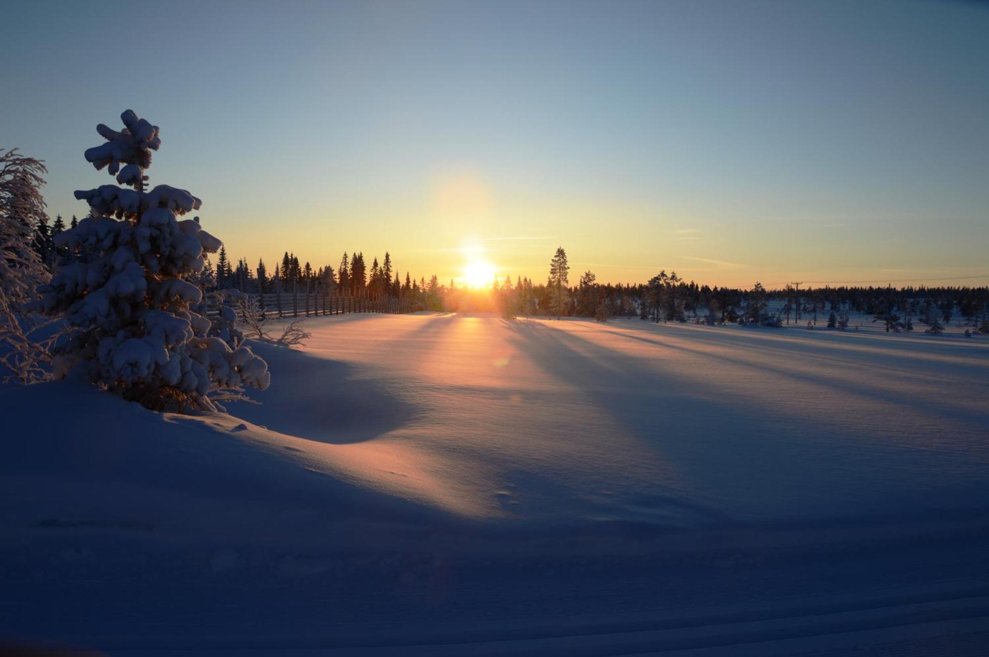 14 - Natur-, Dyre- Og Fugleopplevelser I Fulufjellets Nasjonalparker Trysil
