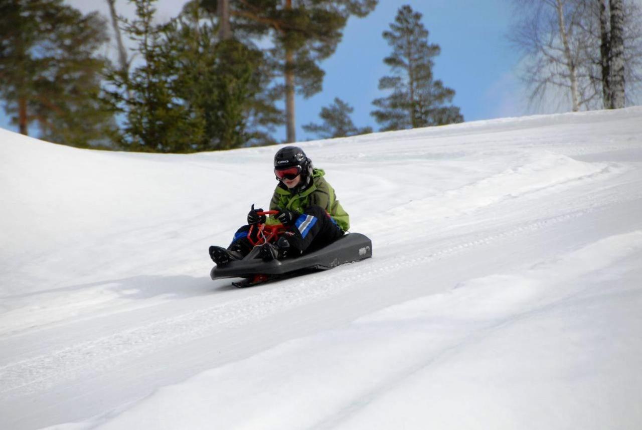 14 - Natur-, Dyre- Og Fugleopplevelser I Fulufjellets Nasjonalparker * Trysil