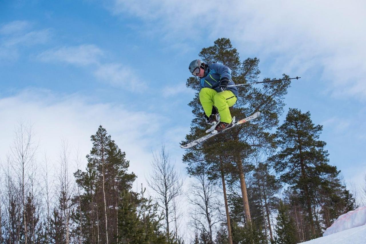 Ferienhaus 14 - Natur-, Dyre- Og Fugleopplevelser I Fulufjellets Nasjonalparker Trysil