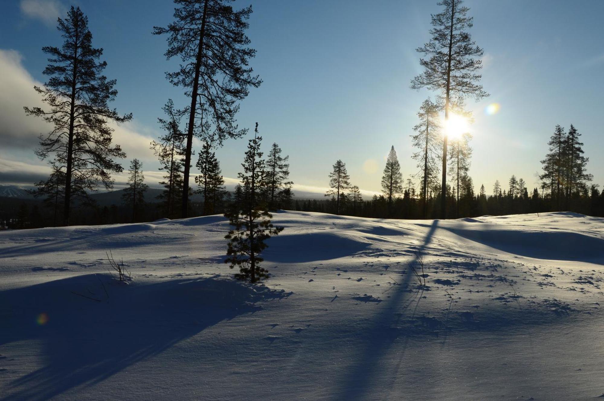 14 - Natur-, Dyre- Og Fugleopplevelser I Fulufjellets Nasjonalparker