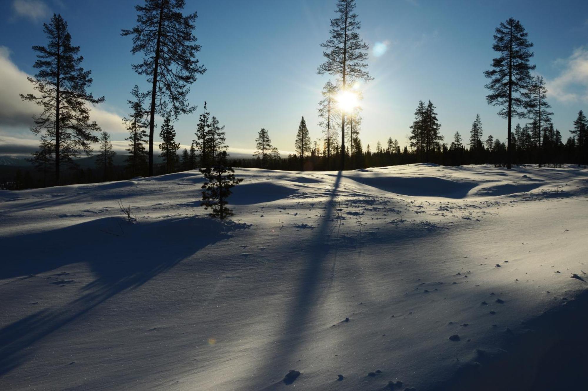 14 - Natur-, Dyre- Og Fugleopplevelser I Fulufjellets Nasjonalparker Trysil