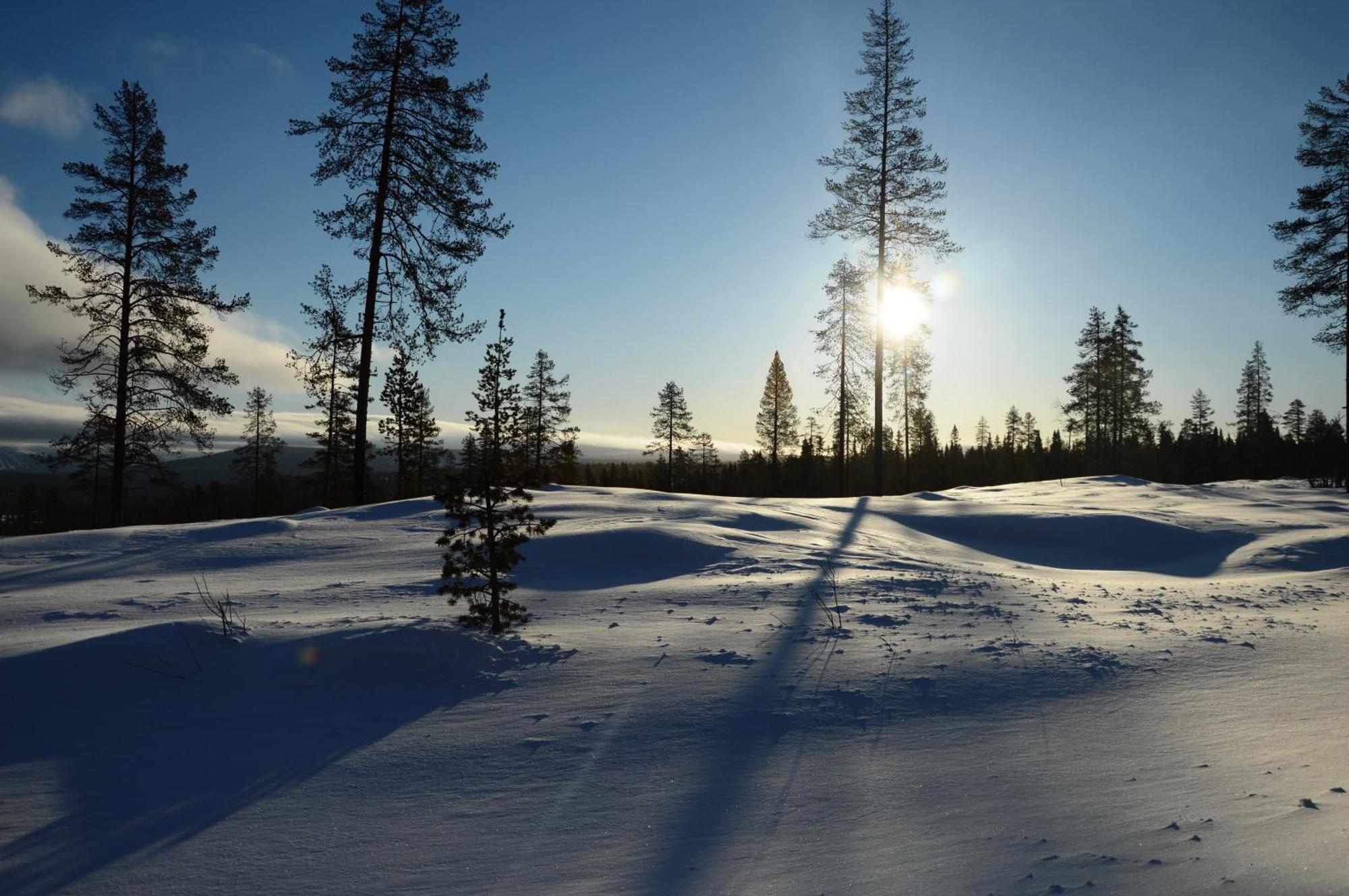 14 - Natur-, Dyre- Og Fugleopplevelser I Fulufjellets Nasjonalparker Ferienhaus