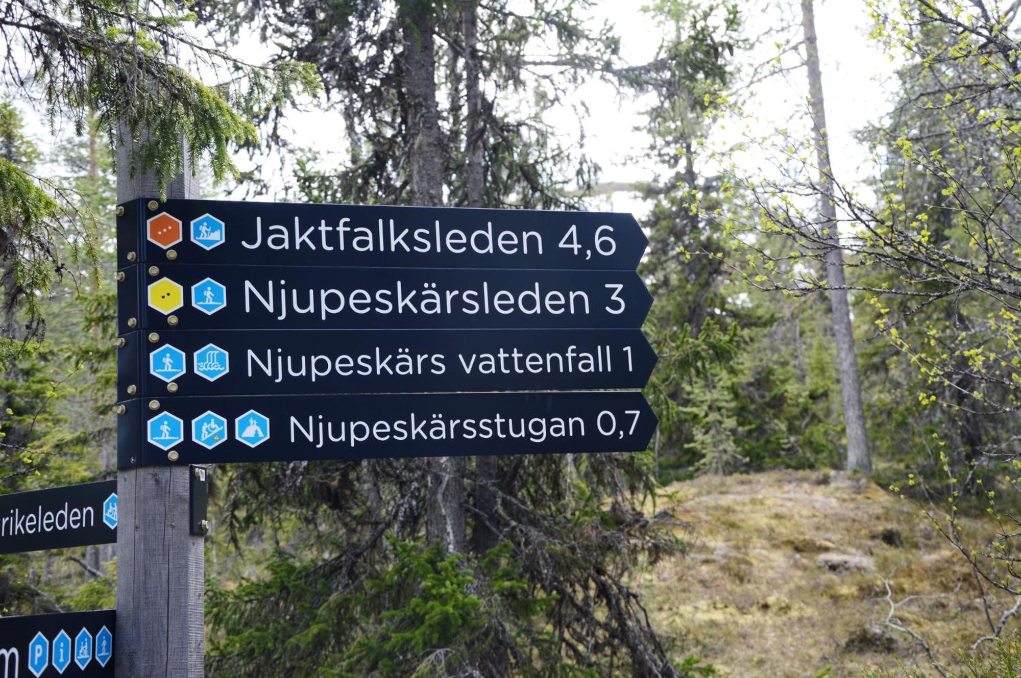 14 - Fulufjellets Nasjonalparker - Natur-, Dyre- Og Fugleopplevelser Трисиль