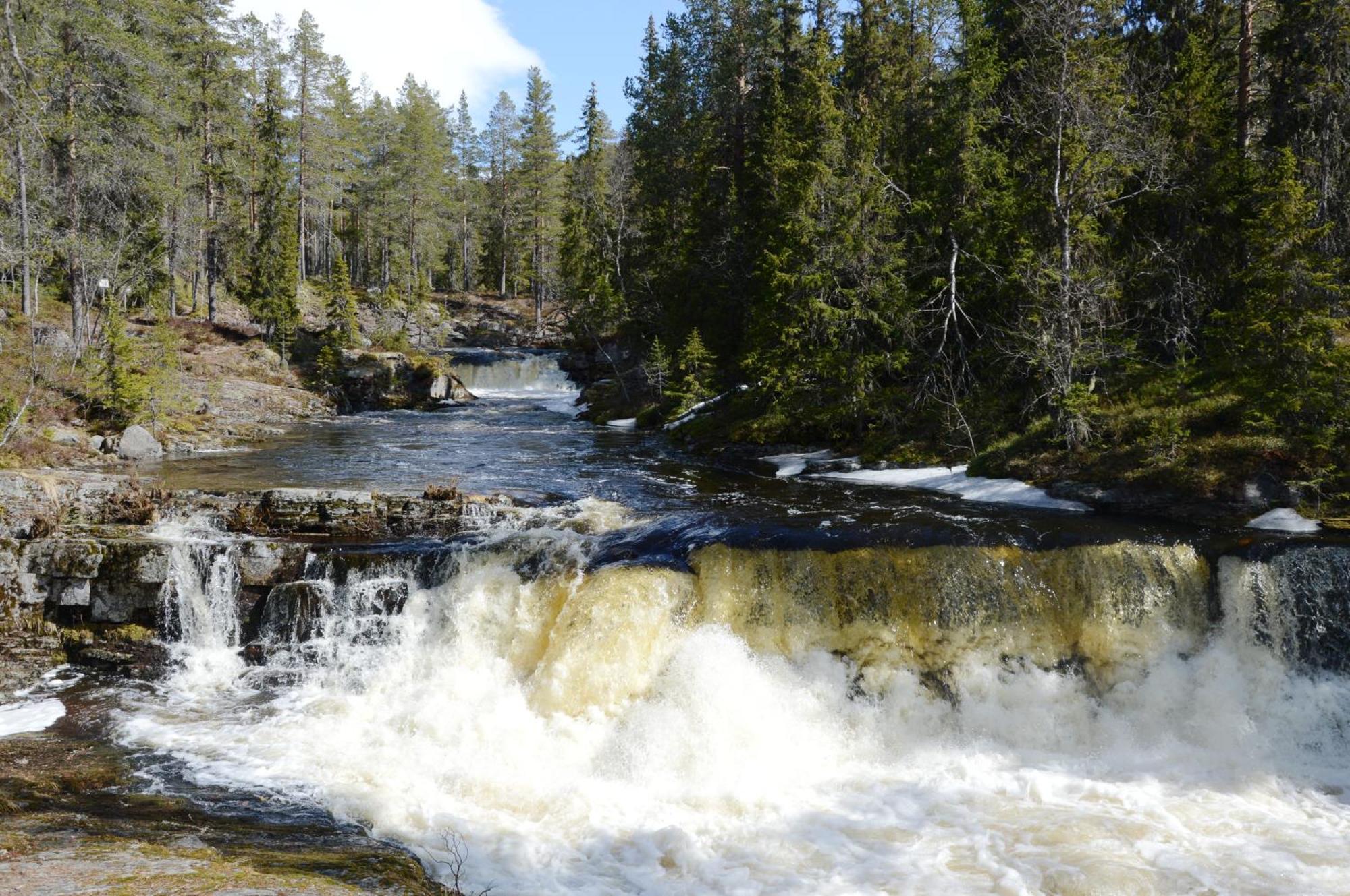 14 - Fulufjellets Nasjonalparker - Natur-, Dyre- Og Fugleopplevelser Трисиль