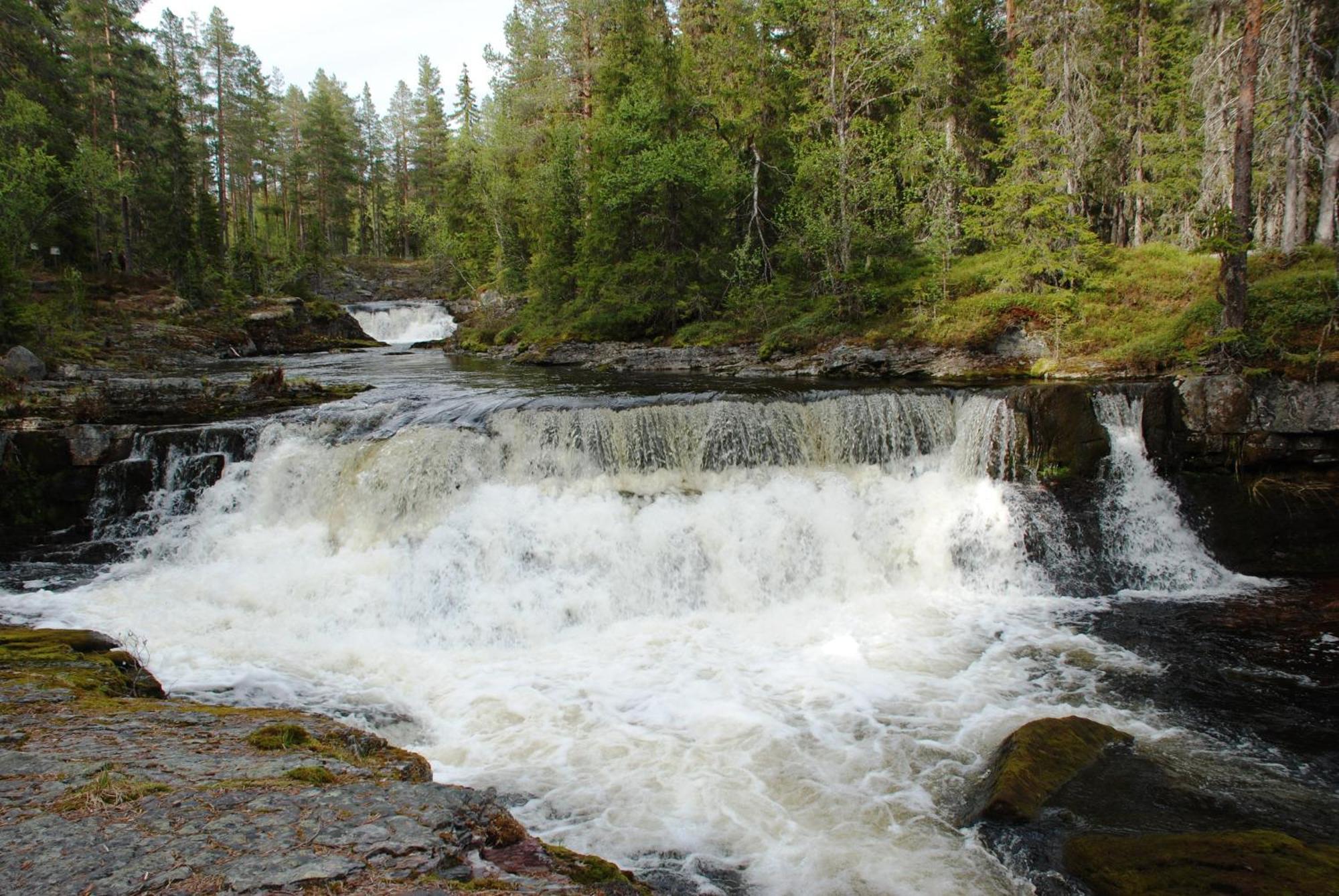 14 - Fulufjellets Nasjonalparker - Natur-, Dyre- Og Fugleopplevelser Дом отдыха